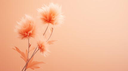 Soft petals in gentle Peach Fuzz tones, elegant floral beauty
