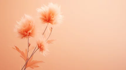 Printed kitchen splashbacks Pantone 2024 Peach Fuzz Soft petals in gentle Peach Fuzz tones, elegant floral beauty