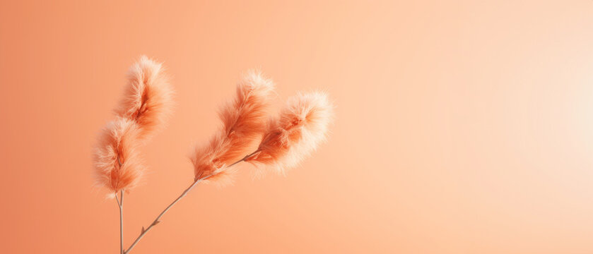 Peach Fuzz-colored blossoms, adding warmth to floral compositions