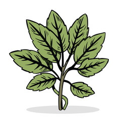 green tree isolated on a white background, green tree with leaves, vector, illustration, EPS vector, vector tracing, plants vector illustration 