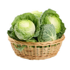 Fototapeta premium Basket of cabbage