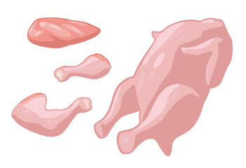 Set parts fresh raw chicken. Whole, leg, quarters, fillet. Vector color vector illustration. Icon isolated on white background for poster, menu, brochure, web.