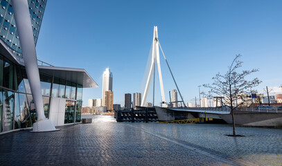 erasmus bridge seen from waterfront of kop van zuid in dutch city of rotterdam on sunny day with blue sky