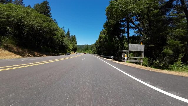 Redwood Highway Northbound Avenue of Giants S Entrance to Miranda 02 Front View Driving Plates of North California USA Ultra Wide