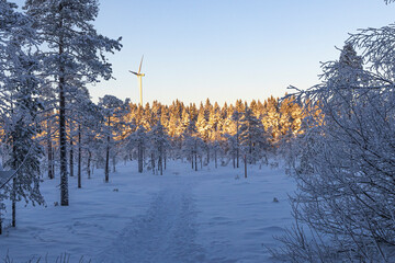 Ski center outside the town of Ludvika in Sweden, where you can go cross-country skiing