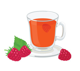 Raspberry tea in glass cup. Vector cartoon flat illustration of healthy hot fruit drink.