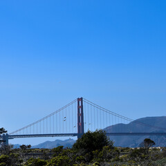 golden gate bridge