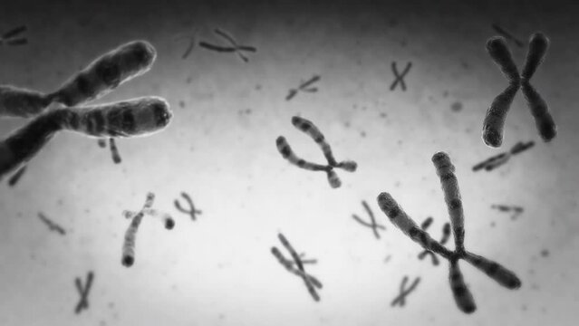Animation of Encoded Genetic Code, Microscopic Chromosomes Floating. Loopable. DNA.