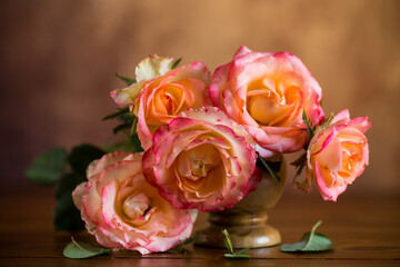 Beautiful blooming yellow and pink rose flowers.