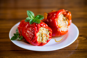 stewed in gravy stuffed peppers in a plate .