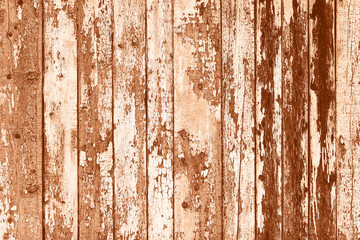 Texture of old wooden planks with peeling paint. Demonstrating color of the year 2024. - 689810317