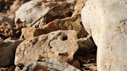 rocks