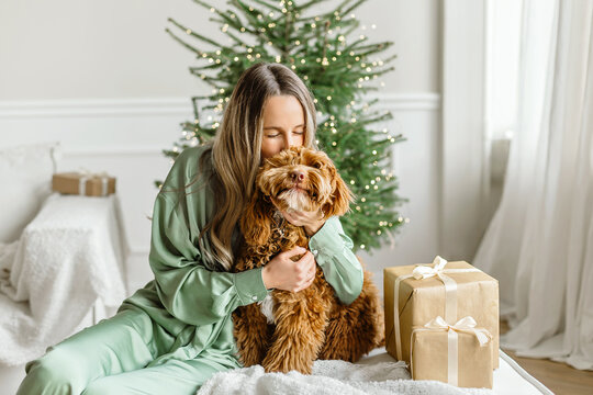 A Beautiful young woman kissing a golden brown labradoodle dog  on christmas tree , bokeh light garland bacground. Cute Family puppy and girl play at home, new year decorated interior