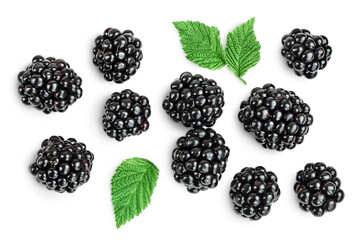 blackberry isolated on a white background closeup. Clipping path and full depth of field. Top view....