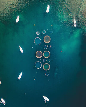 Aerial view of Fish Ponds in Port Andratx, Baleares, Mallorca, Spain.