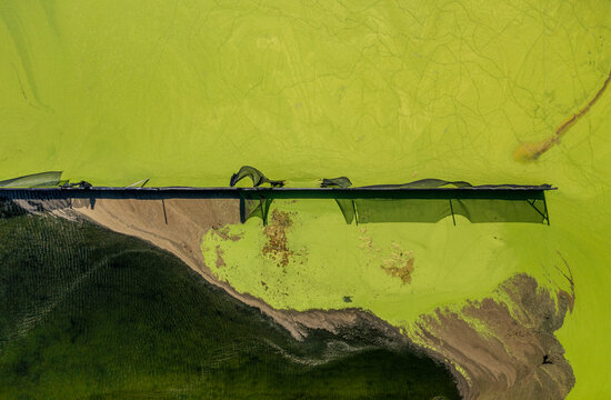 Aerial view of Parabel Nutrition Lemnature Aqua farms, an aquaculture facility, Fellsmere, Florida, United States.
