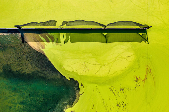 Aerial view of Parabel Nutrition Lemnature Aqua farms, an aquaculture facility, Fellsmere, Florida, United States.