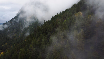 flying over the forest in the mountains with floating fog