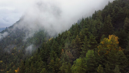 flying over the forest in the mountains with floating fog