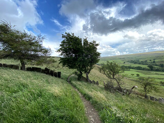 Lancashire rural landscape, with a footpath, windswept trees, and distant hills in, Trawden, Colne