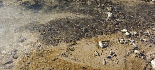 fish on the beach