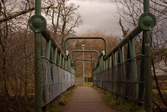 bridge in a parck 