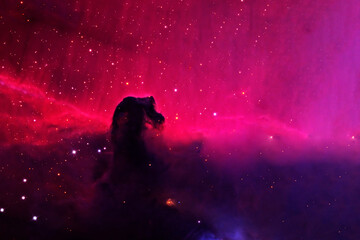 Horse head nebula. Elements of this image furnished by NASA © Artsiom P