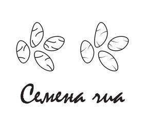 Badge cardamom with the inscription "cardamom" in Russian. Vector, eps