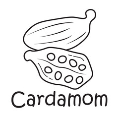 Badge cardamom with the inscription. Vector image, eps