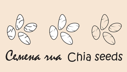 A set of cardamom  objects with the inscription "cardamom" in Russian and English. Simple vector illustration, eps