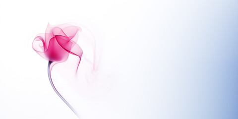 pink rose with smoke on white background with copy space