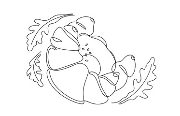 Croissant. Fried eggs. One line