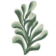 Decorative waves leaves in monochrome green color scheme. Striped contrasting leaves. Tropical leaves for design.Isolated on white background.