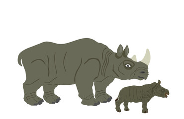 Rhinoceros family vector illustration isolated on white background. Rhino and cub. Mother and baby animal from Africa.