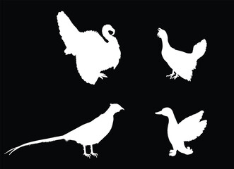 Forest and meadow wildlife birds vector silhouette illustration isolated on black background. Turkey male shape, gobbler. Grouse and duck. Pheasant shadow. Bird watching. Plumage in zoo park.