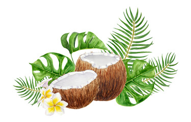 White frangipani, green monstera, palm leaves, half a broken coconut illustration. Watercolor hand...
