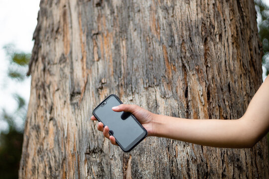  Empresaria usando tel&eacute;fono celular, de mano sosteniendo el tel&eacute;fono con fondo de desenfoque, navegando por internet con dispositivo celular