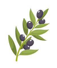 Branch with berries vector concept