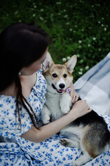 woman in floral dress with a corgi puppy on picnic. Summer vibes

