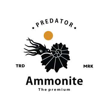 vintage retro hipster ammonite logo vector outline silhouette art icon