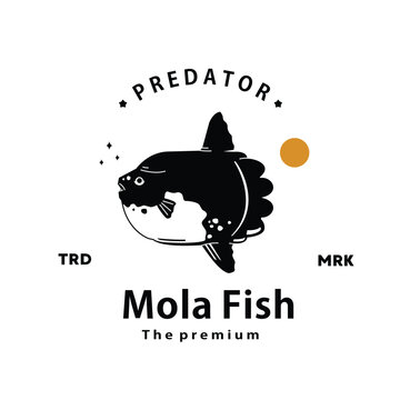 vintage retro hipster mola fish logo vector outline silhouette art icon