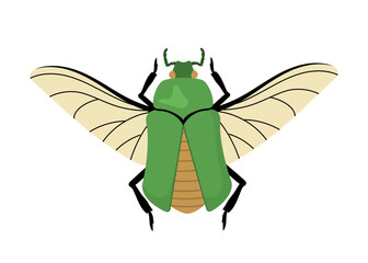 Cute insect vector concept