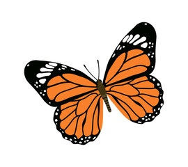 Cute insect vector concept