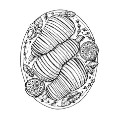 Baked eggplant on plate sketch. Hand drawn vector illustration. Top view.