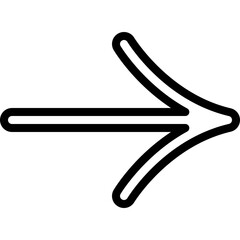 Thin Curved Right Arrow Icon