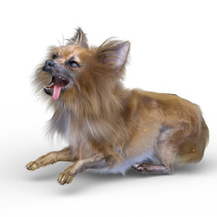 チワワ　3DCG レンダリング