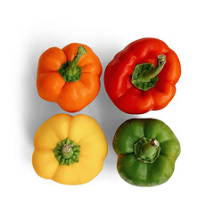 Four peppers in different colors with transparent background and shadow