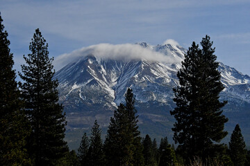 Morning cloud layer and Mt Shasta 14,179, view NE from Mt Shasta City, California