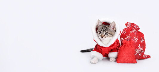 Cat in Santa Claus costume for Christmas. Cat in festive red and white outfit.
Kitten in Santa...