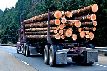 Logging truck heading to mill, Interstate 5, Southern Oregon